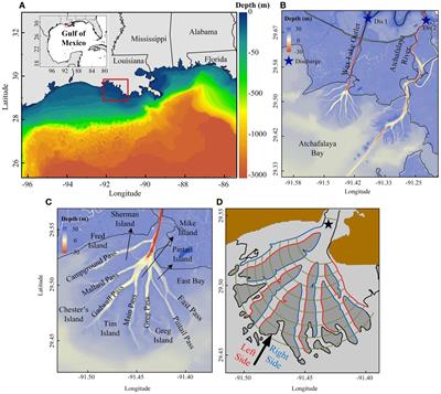 Response of river delta hydrological connectivity to changes in river discharge and atmospheric frontal passage